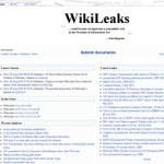 20100825_wikileaks