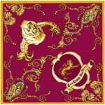 20100827_porta_foro_foulard