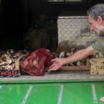 20100831_parco_funghi_porcini_guardie_sequestro