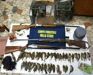 Anti-bracconaggio: i primi dati dell’operazione ‘Pettirosso 2010’