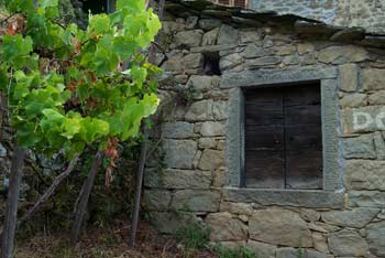 Sapori d’autunno in Casentino
