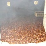 20101104_parco_castagne_autunno