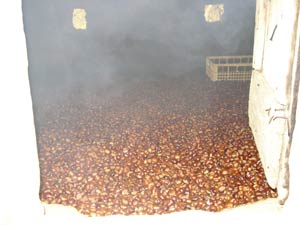 Con l’autunno ritornano le Feste della Castagna
