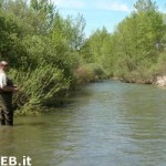 20101110_pesca_mosca_tevere