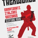 20101119_taekwondo