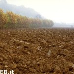 Agricoltura