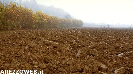 Agricoltura, prorogata scadenza domande per anticipo e stato avanzamento lavori