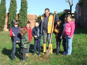 Giornata Nazionale dell’Albero a Foiano