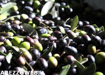 Olio extravergine d’oliva: al ristorante arriva il tappo antirabbocco