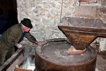 Attività educative all’ecomuseo della Comunità Montana del Casentino