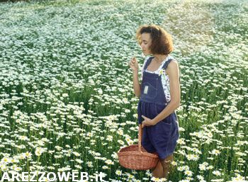 Mille donne al giorno muoiono per il parto