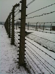 Il Giorno della Memoria vissuto ad Auschwitz