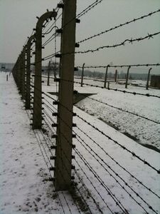 Rinviato il viaggio ad Auschwitz