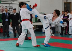 Cinque medaglie fanno sognare l’Arezzo Karate