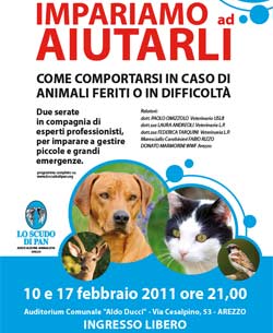 Impariamo ad aiutarli