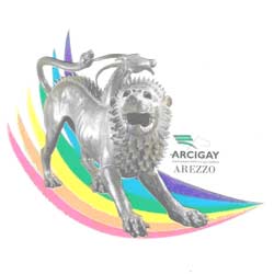 Arcigay Arezzo: relazione sul primo anno di servizio di Counselling
