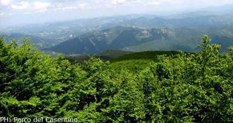 Giro del Casentino: la storica gara ciclistica, in programma domenica 18 agosto