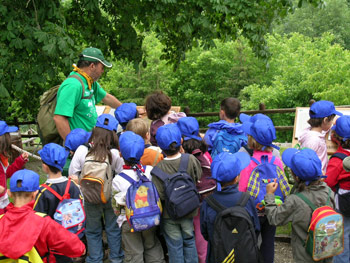 Campi natura estivi per ragazzi nel Parco del Casentino