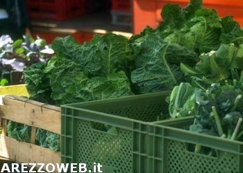 Accordo con Anci a sostegno di prodotti agroalimentari toscani di qualità