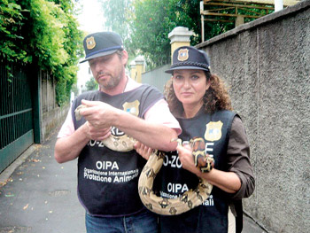Le guardie zoofile OIPA recuperano un boa a Milano