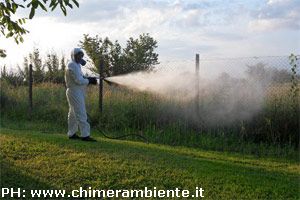 Cortona disinfestazione zanzare: ecco la tabella