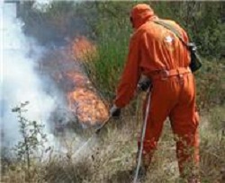 Rischi incendi: divieto di accensione di fuochi sino al 24 ottobre