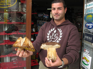 Funghi: raccogliere e consumarli in sicurezza