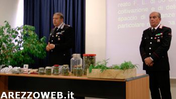 Piantagione di marijiuana a Lignano. Un arresto