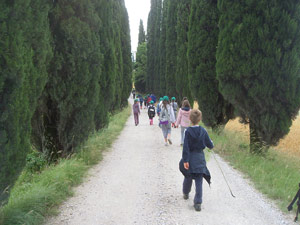 Un viaggio alla scoperta dei tesori della Valle del Casentino
