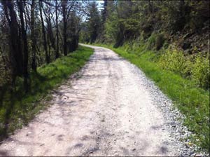 Sistemazione strada forestale tra Trappola e la panoramica