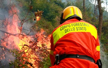 Montevarchi: individuato il responsabile dell’incendio a Becorpi