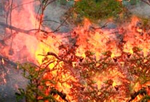 Test per il sistema antincendio a Pergine Valdarno