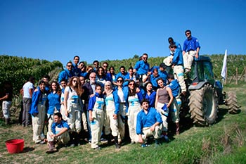 Giovani della primavera araba vendemmiano il ‘vigna della pace’