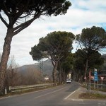 20121111_lavori_rassina