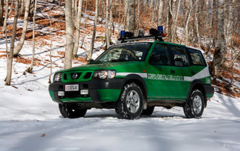 Forestale: nuovo soccorso in Pratomagno