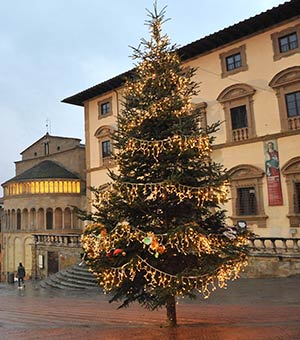 Arezzo, l’albero di natale torna in Piazza Grande