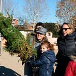 20121213_forestale_alberi