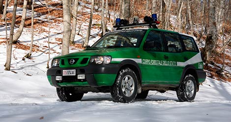 Colto da malore al passo della Calla, salvato dalla Forestale