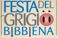 I° edizione ‘La festa del Grigio’