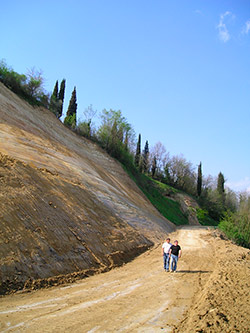 Riapertura al transito della SP8 di Botriolo