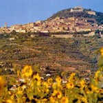 20130611_cortona