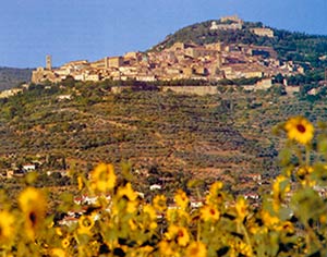 Cortona, Confcommercio chiede la riapertura ai bus di Piazza Garibaldi