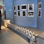 20130623_mimmo_borrelli