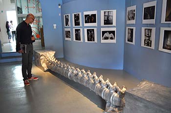 Scultura: prosegue la mostra ‘Alluminio. Dal Futurismo alla Contemporaneità’
