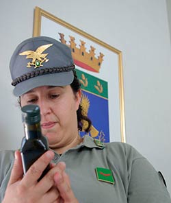 Forestale: controlli a difesa dell’olio extravergine di oliva, sanzioni per 8mila euro