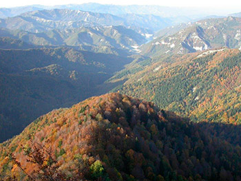 Lo spettacolo del Fall Foliage nella foresta della Lama, a piedi o in Bus
