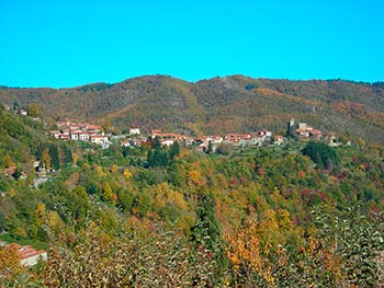 Al via il “Bando Multimisura”: in Casentino e Valtiberina in arrivo 1 milione e mezzo di euro