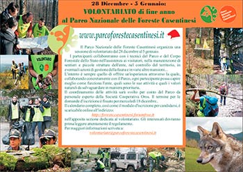 Volontariato al parco nazionale delle foreste casentinesi. Turno di fine anno