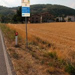 20131122_incidente_cinghiale