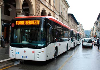 Arrivano cinque nuovi autobus per rinnovare la flotta aretina di Tiemme